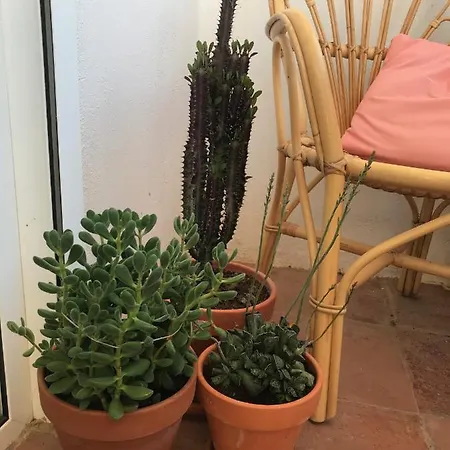Apartment Elsa