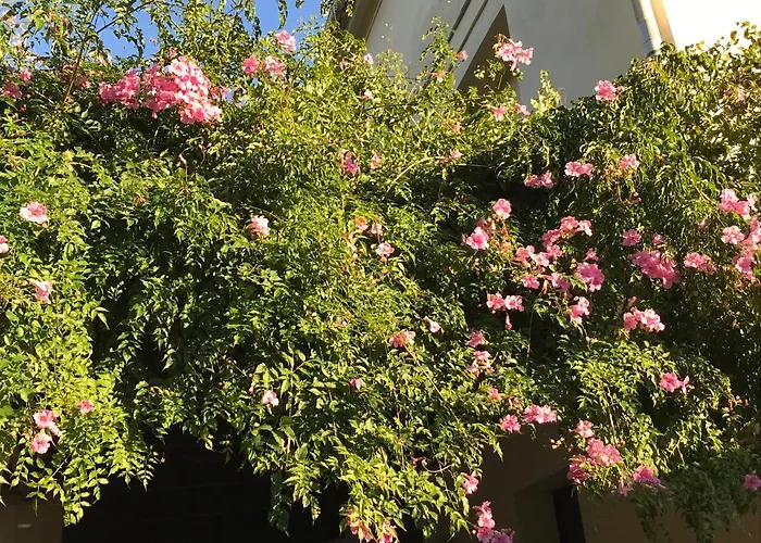 Apartman Elsa Valencia