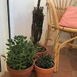 Apartment Elsa